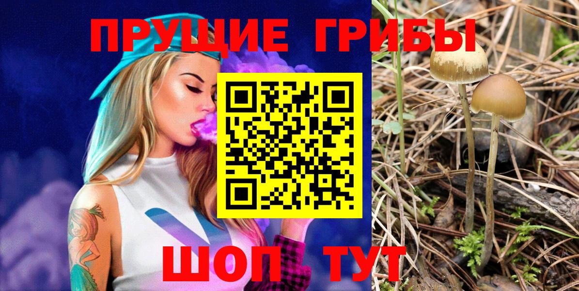 Галлюциногенные грибы прущие грибы Рузаевка